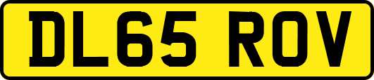 DL65ROV