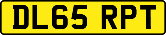 DL65RPT