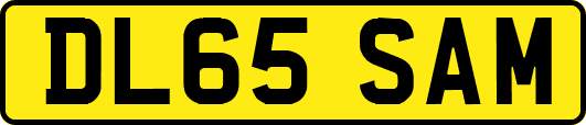 DL65SAM