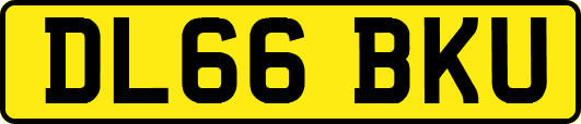 DL66BKU