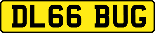 DL66BUG