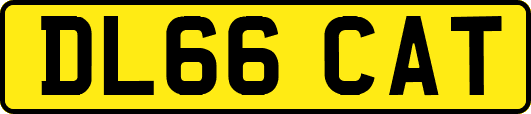 DL66CAT