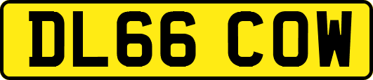 DL66COW