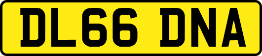 DL66DNA