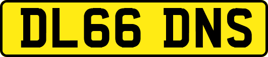 DL66DNS
