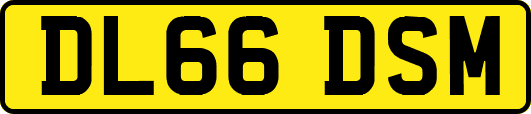 DL66DSM