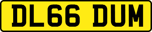 DL66DUM