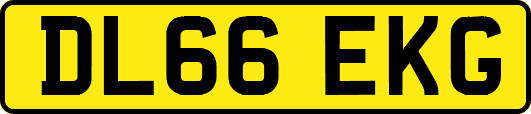 DL66EKG