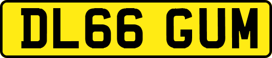 DL66GUM