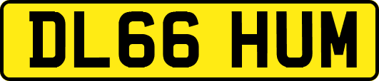 DL66HUM
