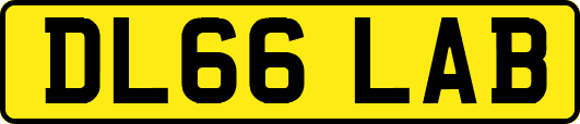 DL66LAB