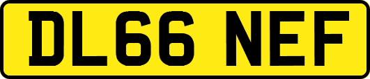 DL66NEF