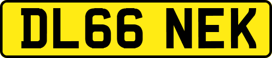 DL66NEK
