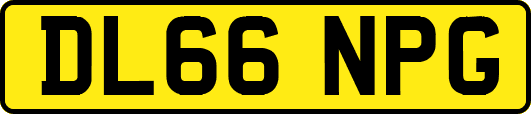 DL66NPG