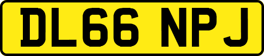 DL66NPJ