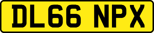 DL66NPX