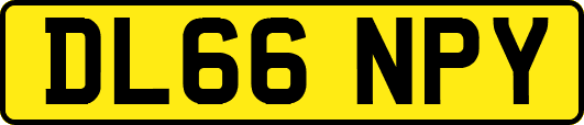 DL66NPY