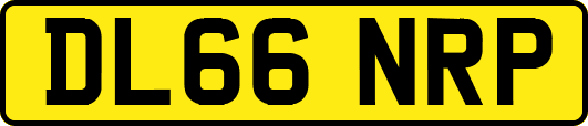 DL66NRP