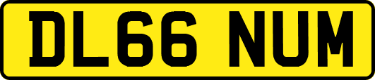 DL66NUM