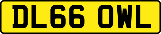 DL66OWL