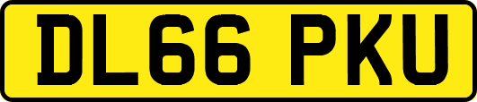 DL66PKU