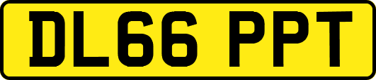 DL66PPT