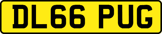 DL66PUG