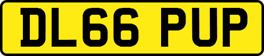 DL66PUP