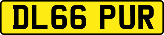 DL66PUR