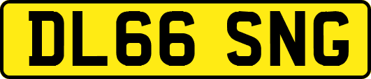 DL66SNG