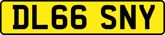 DL66SNY