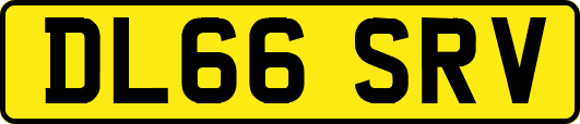 DL66SRV