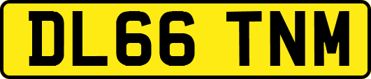 DL66TNM