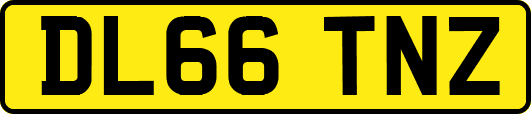 DL66TNZ