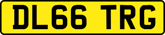DL66TRG