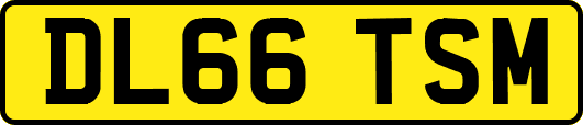 DL66TSM