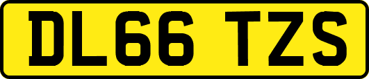DL66TZS