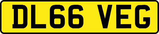 DL66VEG