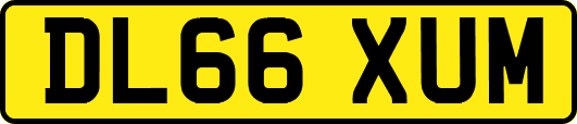 DL66XUM
