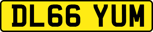 DL66YUM
