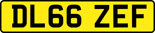 DL66ZEF