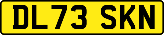 DL73SKN