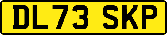 DL73SKP
