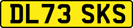 DL73SKS