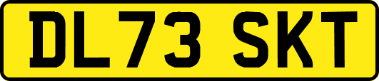 DL73SKT