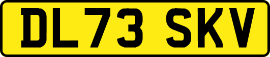 DL73SKV