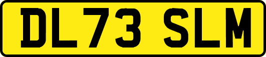 DL73SLM