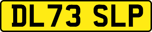 DL73SLP