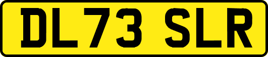 DL73SLR