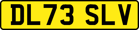 DL73SLV